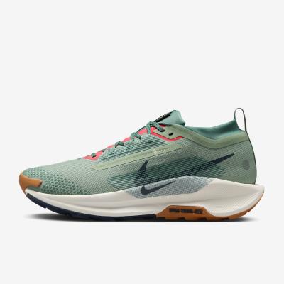 Nike Pegasus Trail 5 GORE-TEX