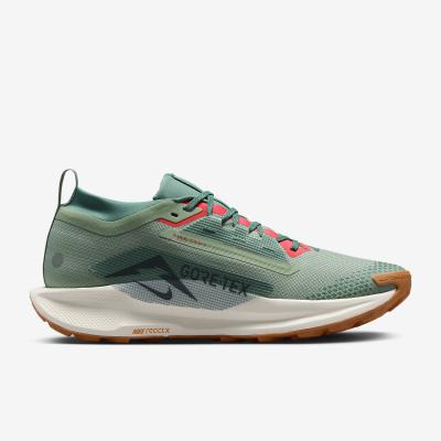 Nike Pegasus Trail 5 GORE-TEX